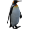 Penguin PNG Pic