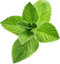 Peppermint PNG File Download Free