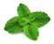 Peppermint PNG Pic