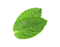 Peppermint PNG Picture