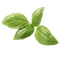 Pesto Leaves PNG