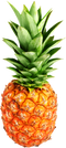 Pineapple PNG Clipart