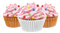 Pink Cake PNG