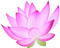 Pink Lotus PNG Clipart