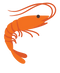 Pink Shrimp PNG