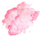 Pink Watercolor PNG HD Image