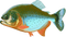 Piranha PNG Images