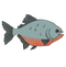 Piranha PNG Pic