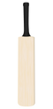 Plain Cricket Bat PNG Image