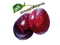 Plum High-Quality PNG