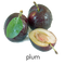 Plum PNG Image