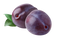 Plum PNG Images