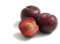 Plum PNG Pic