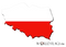 Poland Flag PNG Pic