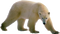 Polar Bear PNG Clipart