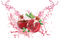 Pomegranate Free Download PNG