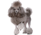 Poodle PNG Download Image