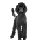 Poodle PNG Free Download