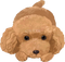 Poodle PNG Image File