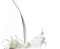 Pouring Milk Splash PNG Image