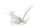 Pouring Milk Splash PNG