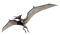 Pterosaurs PNG High Quality Image