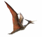 Pterosaurs PNG Images