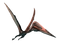 Pterosaurs PNG Picture