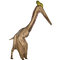 Pterosaurs PNG