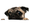 Pug PNG File Download Free