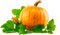 Pumpkin PNG Clipart