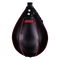 Punching Bag PNG File