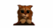 Puss In Boots PNG Free Download