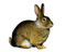 Rabbit PNG Clipart