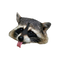 Raccoon PNG Clipart