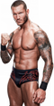 Randy Orton Transparent