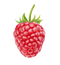 Raspberry High-Quality PNG