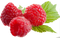 Raspberry PNG File