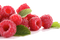 Raspberry PNG Image