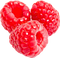 Raspberry PNG Pic