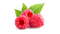 Raspberry PNG