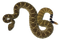 Rattlesnake PNG Clipart