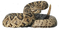 Rattlesnake PNG Image