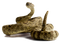 Rattlesnake PNG Picture