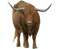 Real Bison Transparent