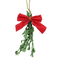 Real Mistletoe PNG Image