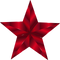 Red Iridescent Star PNG