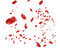 Red Rose Petals PNG File