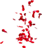 Red Rose Petals PNG Free Image