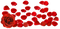 Red Rose Petals PNG HD Image